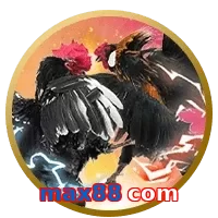 max88 com