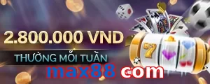 max88 com